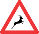 W313 - Wild Animals Ahead Road Sign